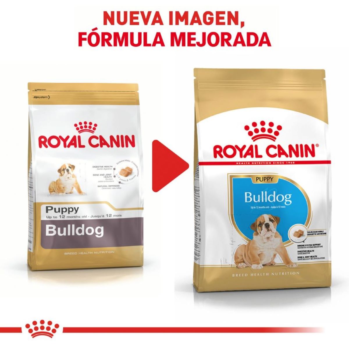 Royal Canin Bulldog Puppy - Alimento para Cachorro Royal Canin Bulldog Puppy - Alimento para Cachorro